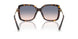 801516 - Tortoise - Light Brown Gradient Blue