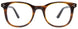 10 - Brown & Tortoise