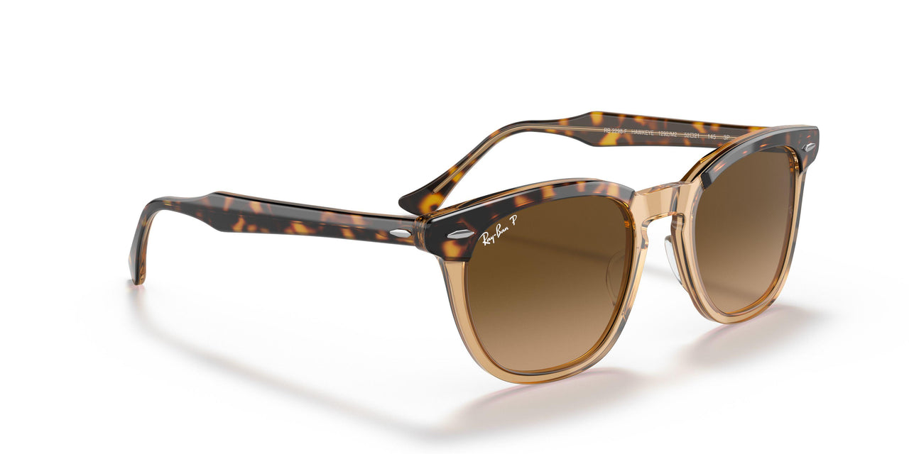 1292M2 - Havana - Brown Gradient Polar