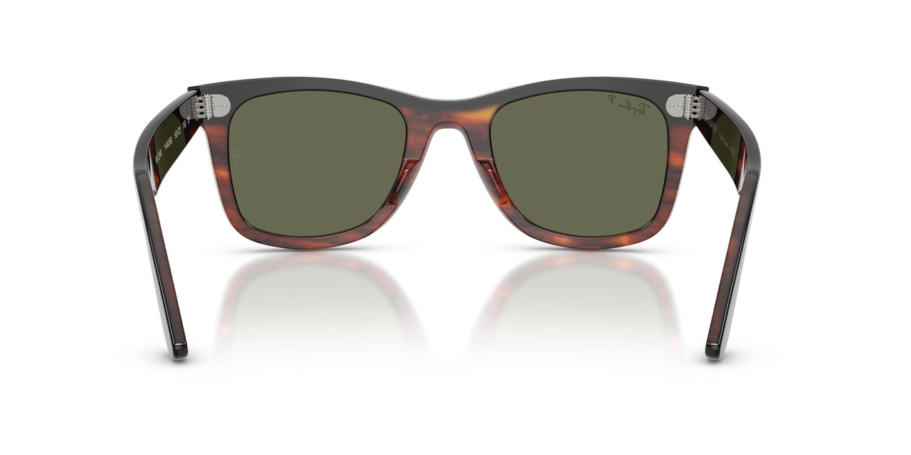 144058 - Black - Polarized Green