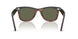 144058 - Black - Polarized Green