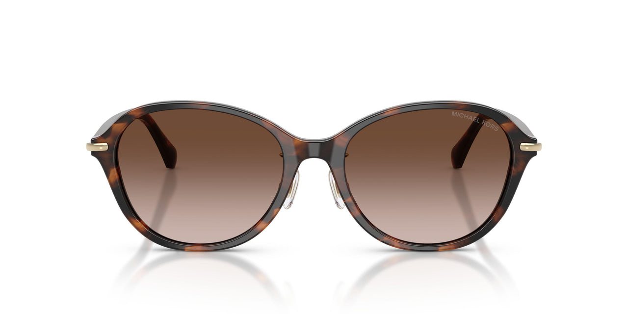 403913 - Brown - Brown Gradient