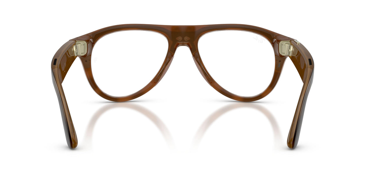 8528 - Tortoise