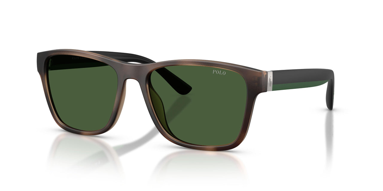 607071 - Tortoise - Bottle Green