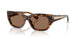 Jimmy Choo 5071BU Sunglasses