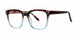 Modern Plastics II LEGENDARY Eyeglasses