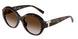 80153B - Tortoise - Brown Gradient