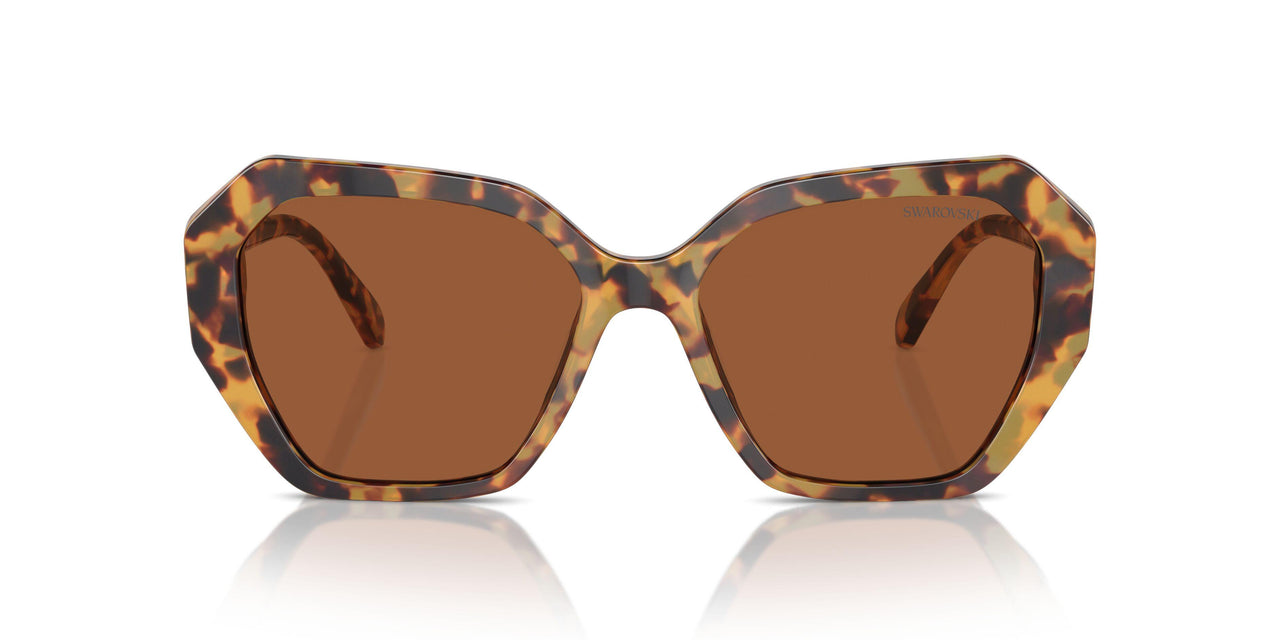 100473 - Tortoise - Dark Brown