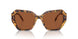100473 - Tortoise - Dark Brown