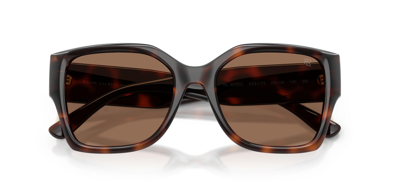 624173 - Tortoise - Brown