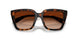 300274 - Brown - Brown Gradient