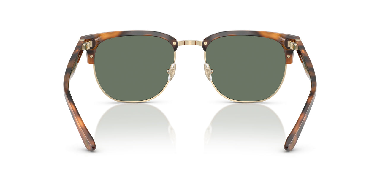 61613H - Tortoise - Dark Green Solid