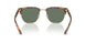 61613H - Tortoise - Dark Green Solid
