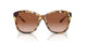 605613 - Tortoise - Gradient Brown