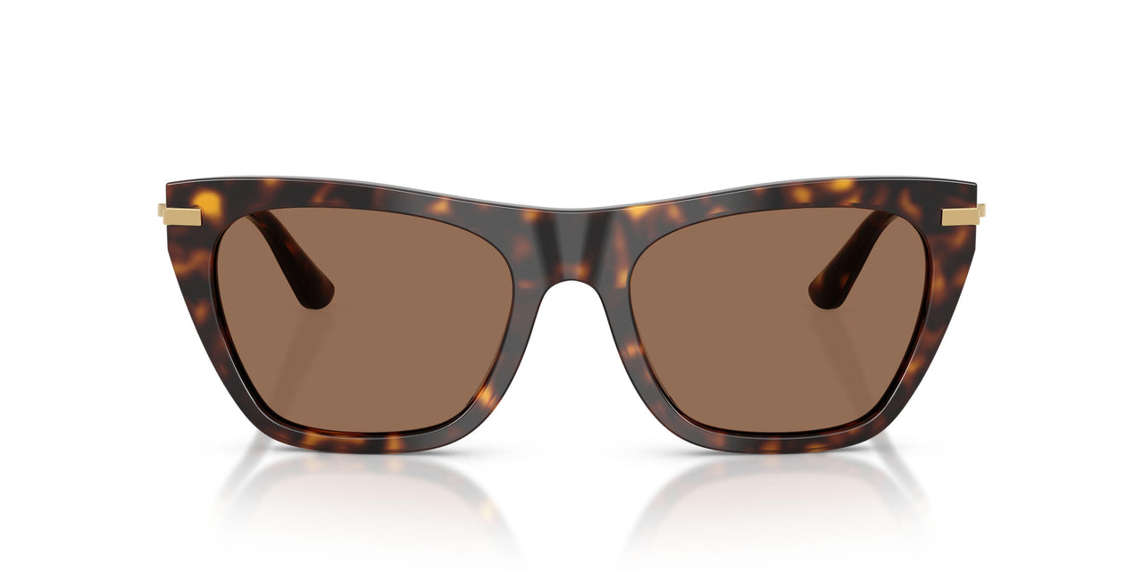 502/73 - Tortoise - Dark Brown