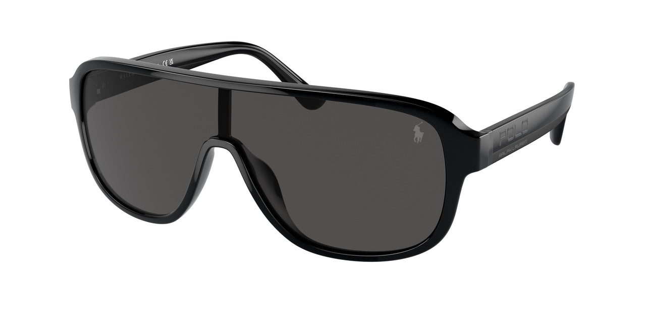 Polo 4196U Sunglasses