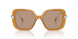 200563 - Brown - Light Brown