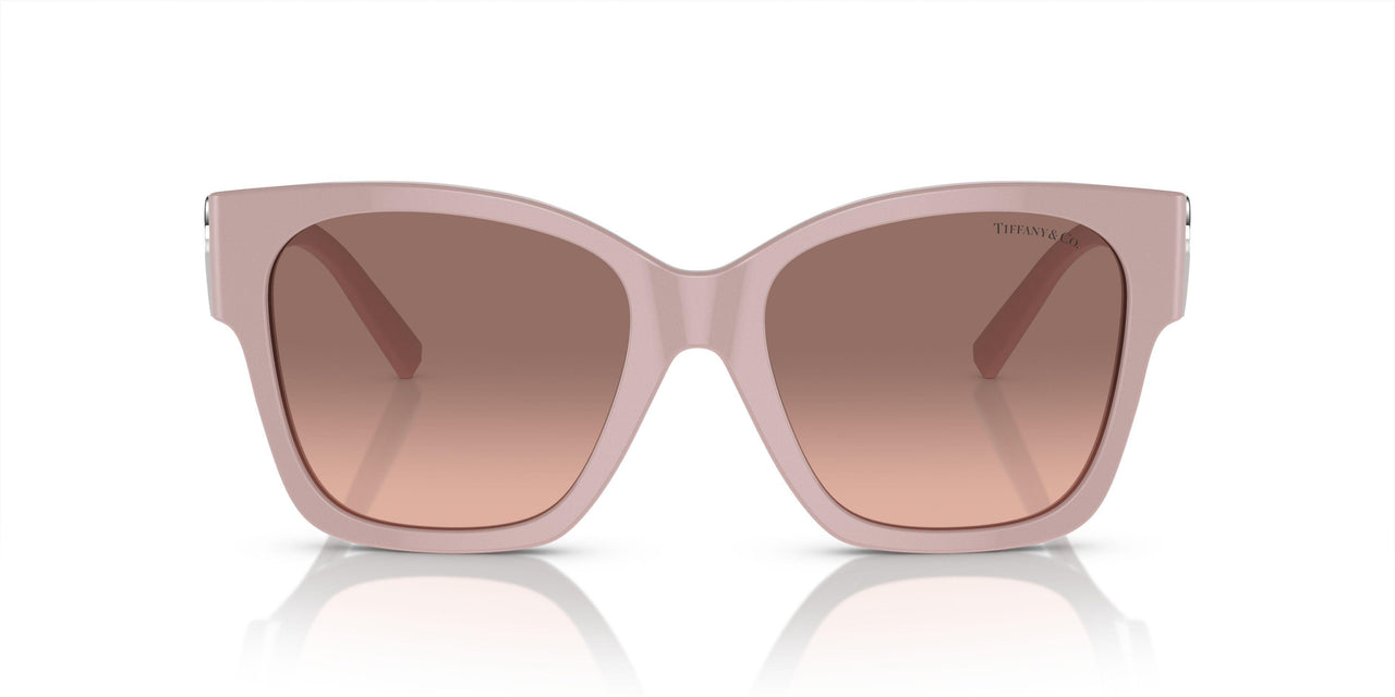 839313 - Pink - Pink Gradient Dark Brown