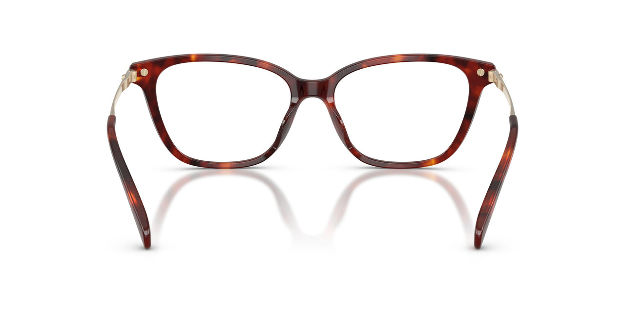 5938 - Tortoise