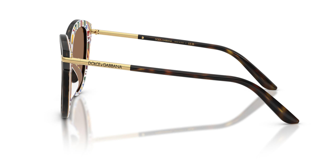 321713 - Tortoise - Dark Brown