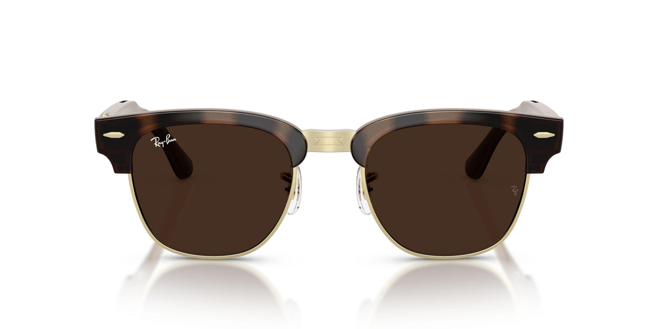 6928M4 - Tortoise - Clear/brown