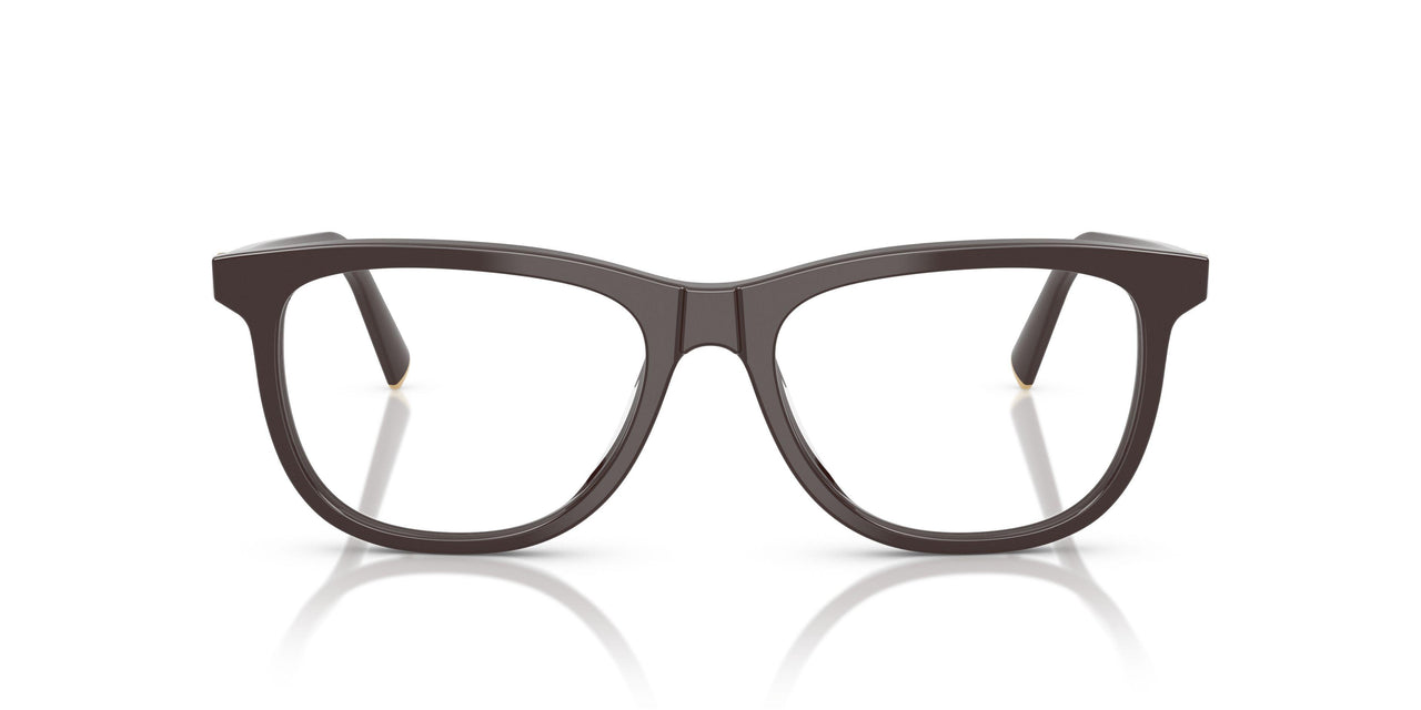 22C1O1 - Brown