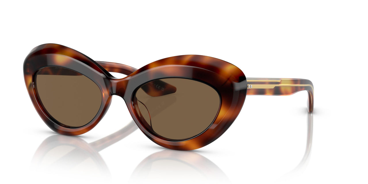 100773 - Tortoise - Brown