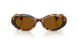 14L20V - Tortoise - Dark Bronze
