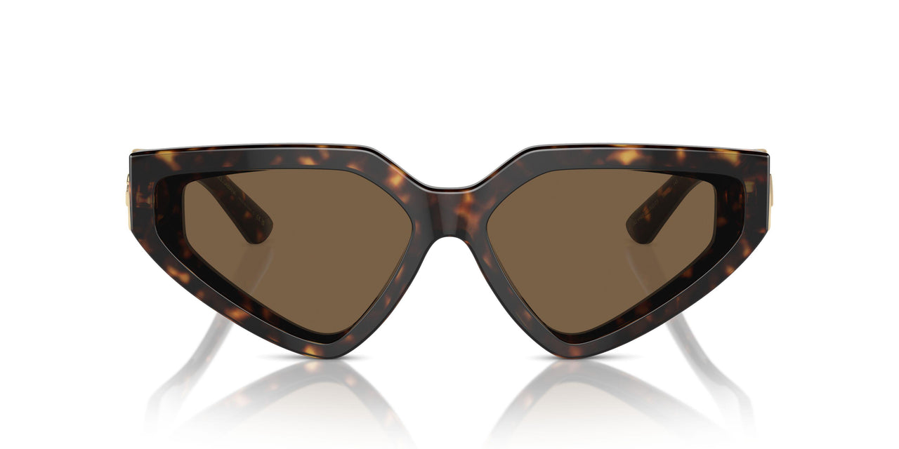 502/73 - Tortoise - Dark Brown