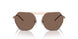 301173 - Gold - Dark Brown