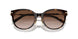 80153B - Tortoise - Brown Gradient
