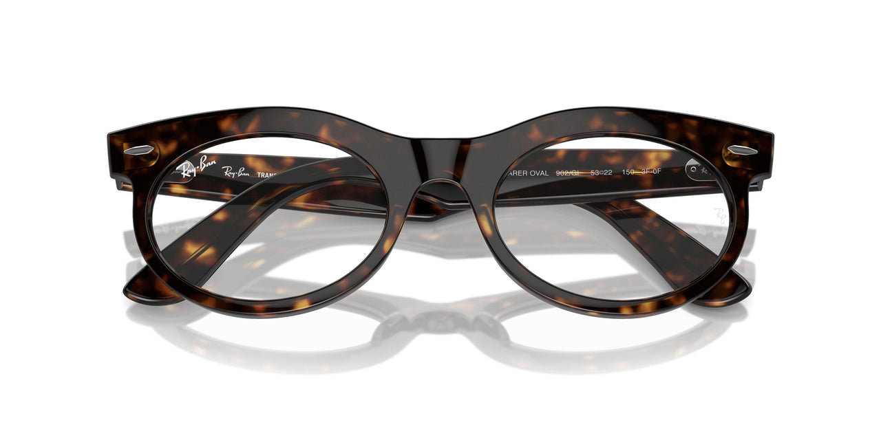 902/GI - Tortoise - Clear/brown