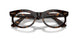 902/GI - Tortoise - Clear/brown