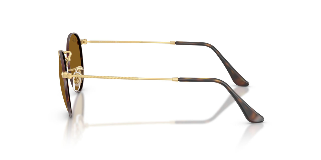 927533 - Havana - Brown