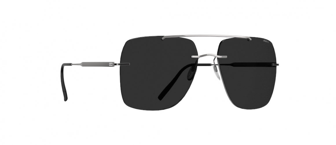 6560 - Ruthenium Black - SLM POL Grey