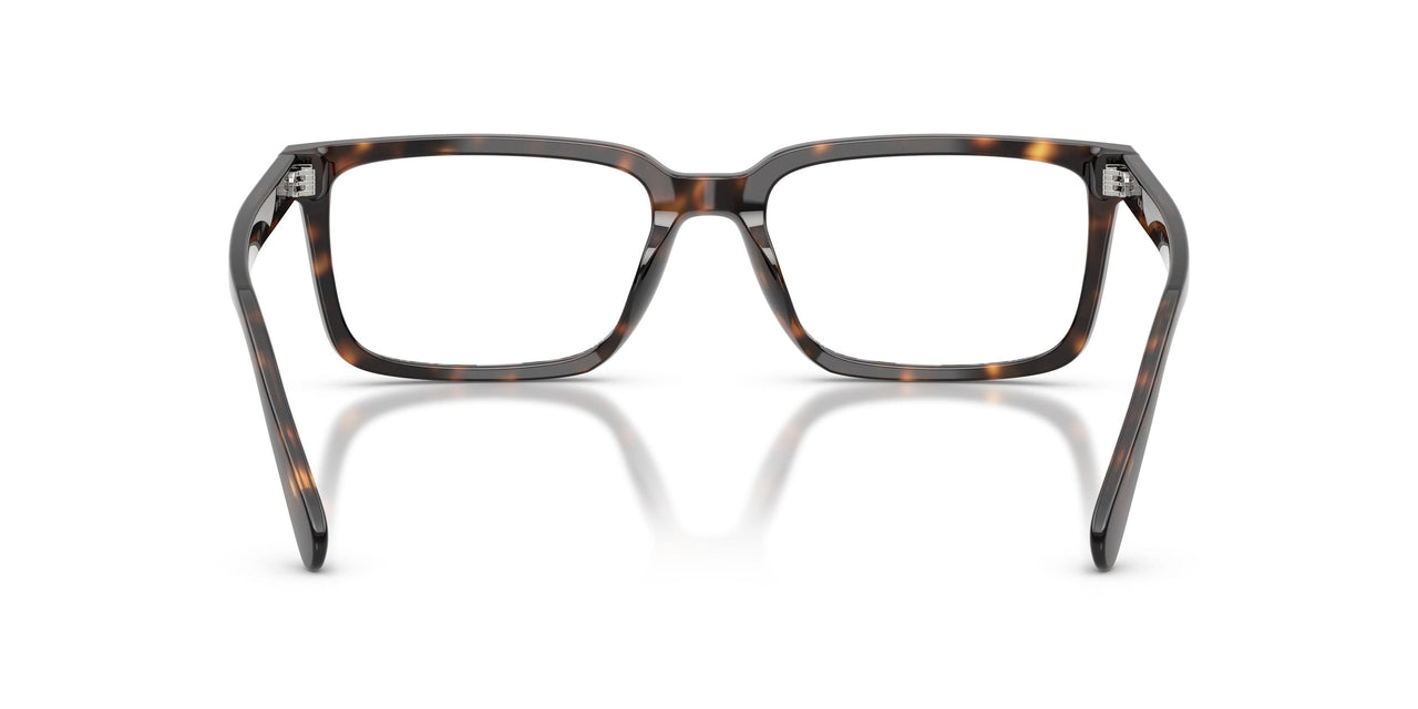 5120 - Tortoise