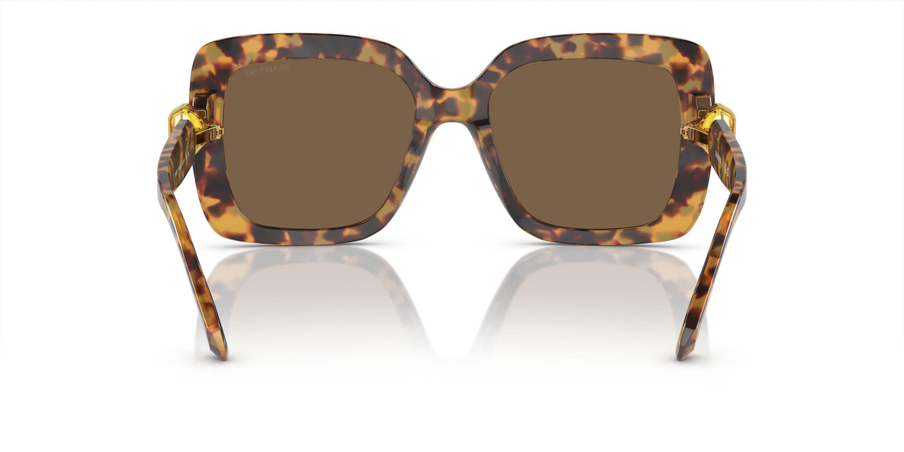 104073 - Tortoise - Dark Brown