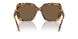 104073 - Tortoise - Dark Brown