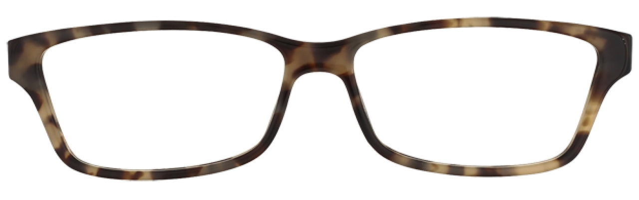 346 - Cream Tortoise