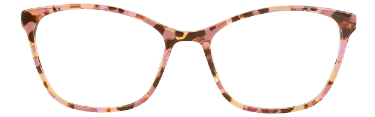 RST - Rose Tortoise