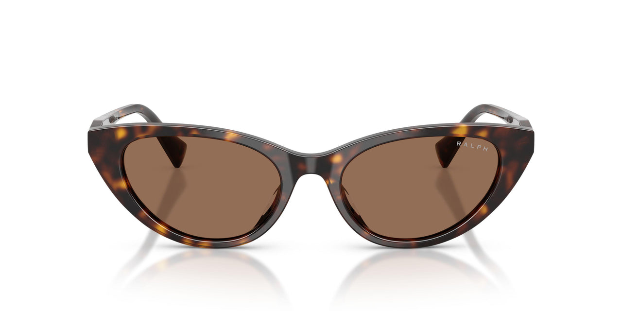 500373 - Tortoise - Brown