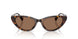500373 - Tortoise - Brown