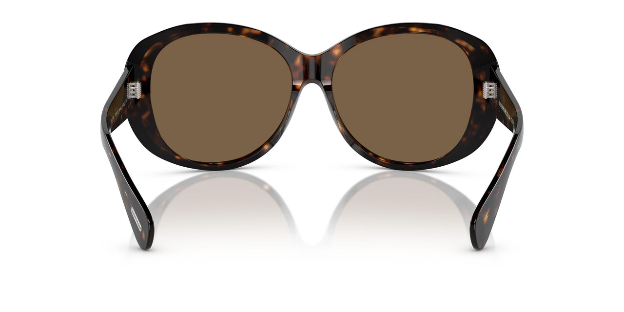 100973 - Tortoise - Brown
