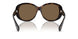 100973 - Tortoise - Brown