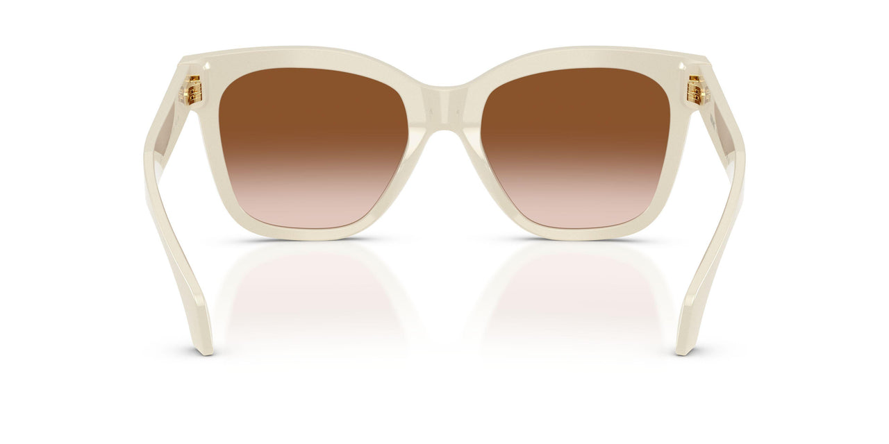 554113 - White - Brown Gradient