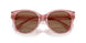 202173 - Pink - Transparent Light Pink