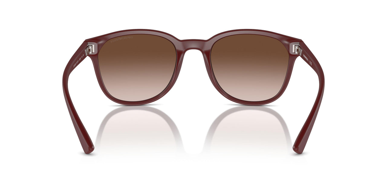 610113 - Red - Gradient Brown