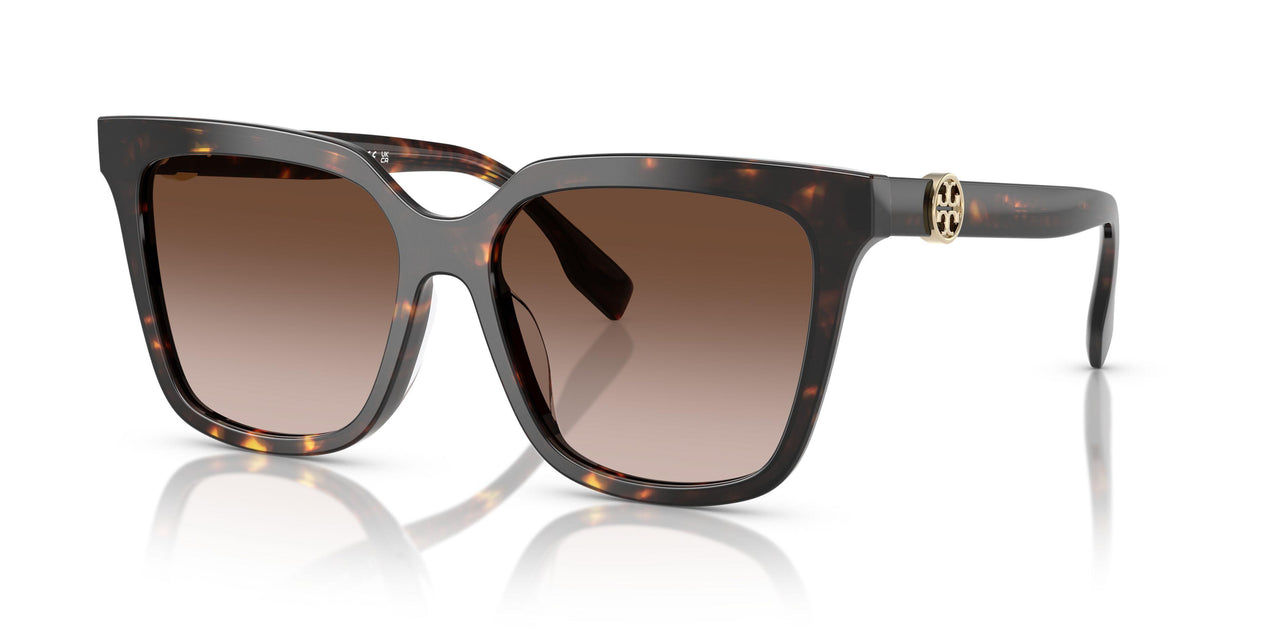 201613 - Tortoise - Brown Gradient