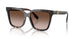 201613 - Tortoise - Brown Gradient