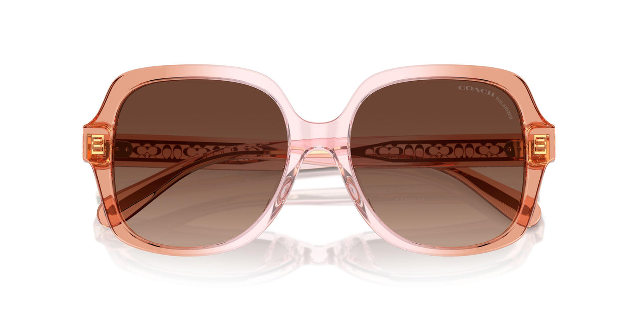 5812T5 - Brown - Brown Gradient Polarized